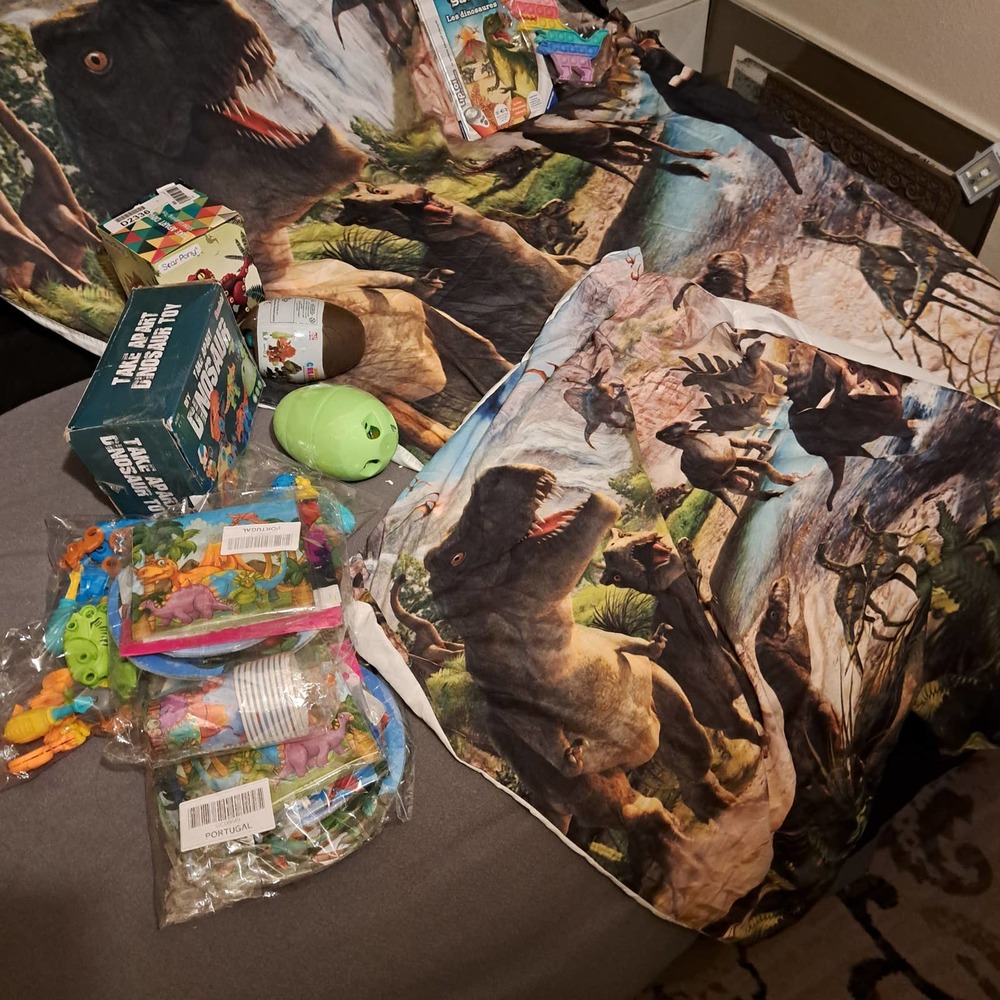 Dinosaur Duvet/Pillow/3games/Book and Party Plates